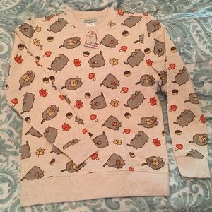 Pusheen Box Exclusive Fall sweater!